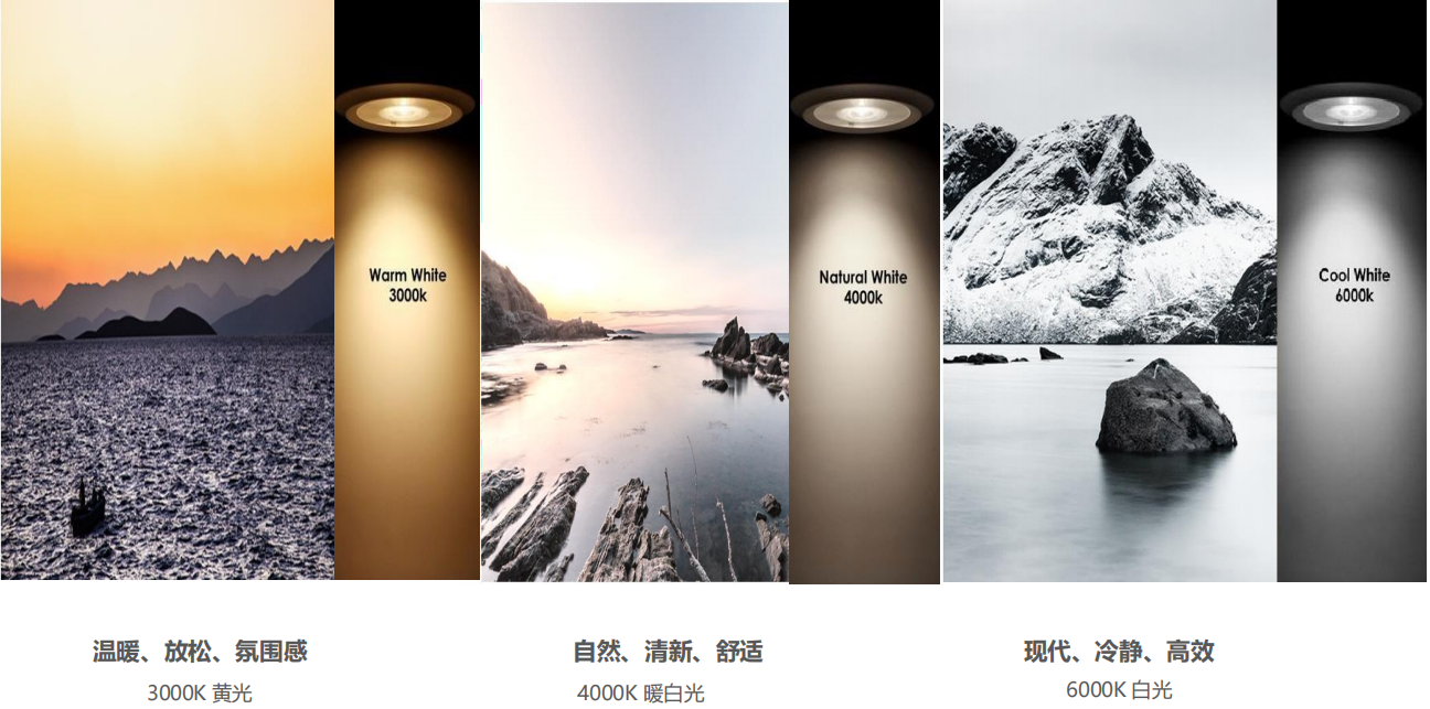 【設(shè)計(jì)案例】普照國(guó)康醫(yī)藥辦公室項(xiàng)目概念設(shè)計(jì)——以空間敘事，筑品牌基因(圖26)