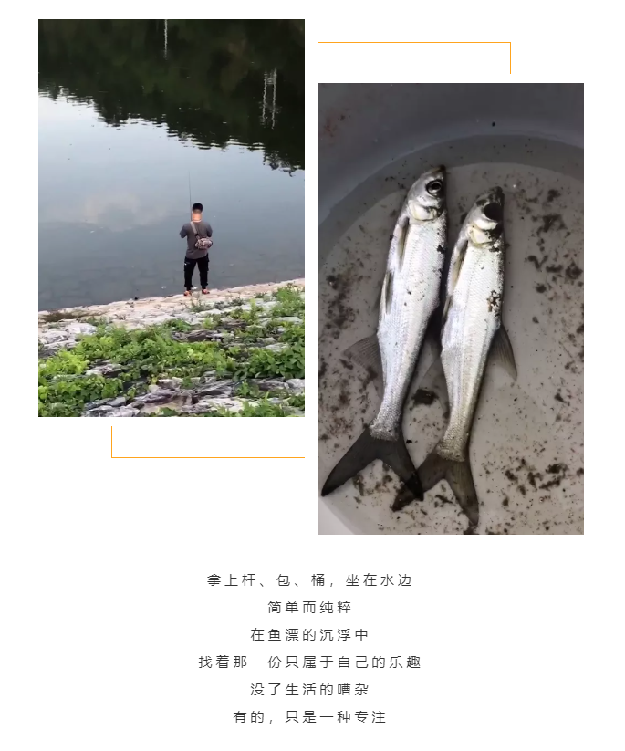 秋天了，來一場(chǎng)成年人的秋游吧(圖5)