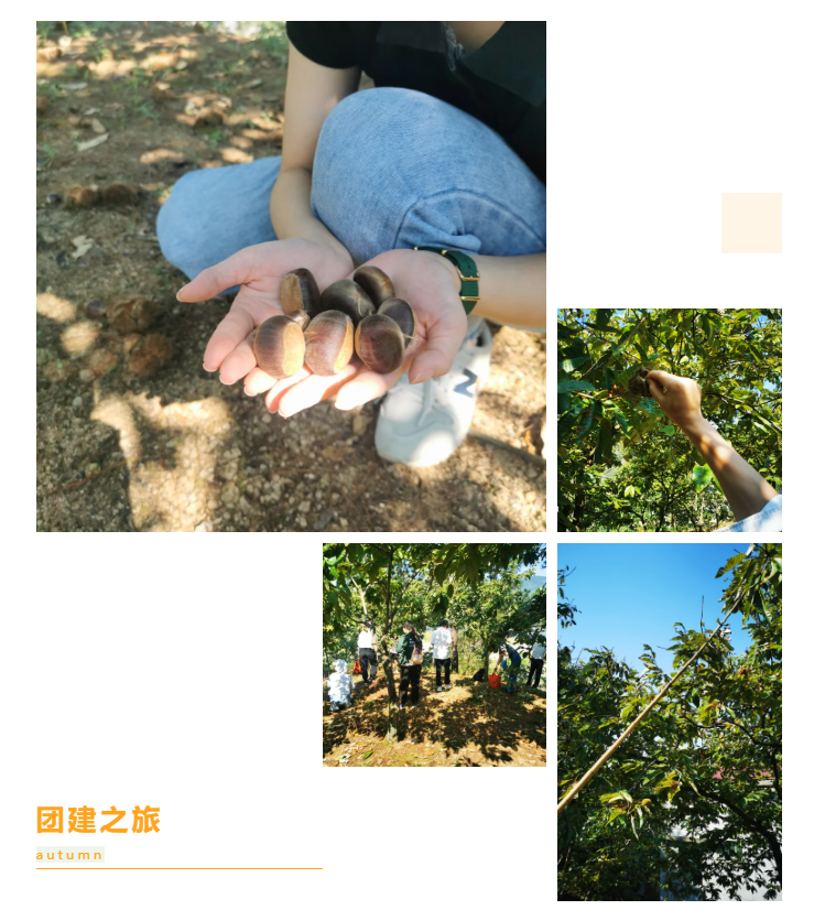 秋天了，來一場(chǎng)成年人的秋游吧(圖6)